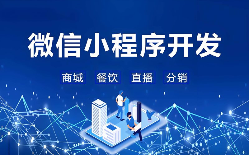 ERP系统的开发与实施：实战攻略